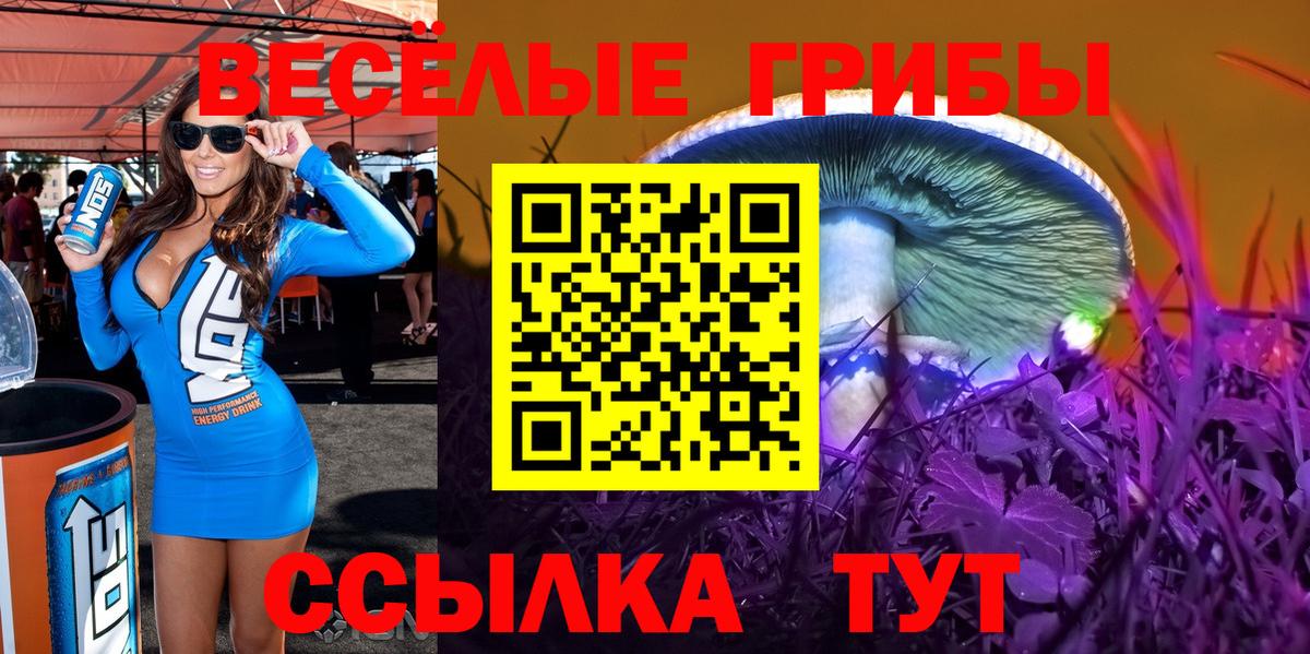 Псилоцибиновые грибы GOLDEN TEACHER Лангепас