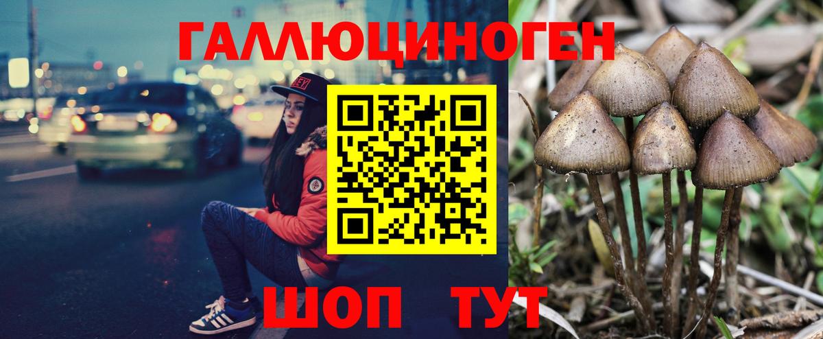 Псилоцибиновые грибы Magic Shrooms  Вход с VPN  Лангепас 